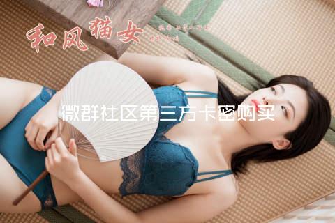 微群社区第三方卡密购买